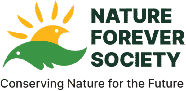 Nature Forever Society