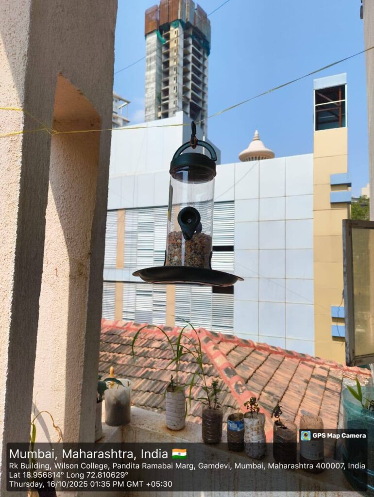 photo 2025 10 19 21 38 53