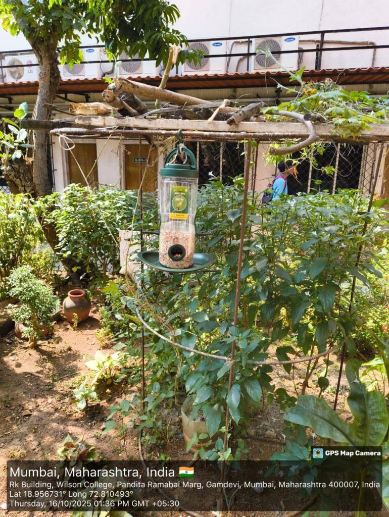 photo 2025 10 26 02 08 15